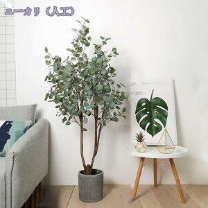 2000~OFFN[| tFCNO[ lHϗtA ^ CeA  rO ItBX   lHϗtA  CeAO[ ϗtA 킢  Q Mъϗt 