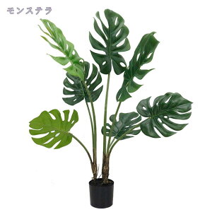 1000~OFFN[| tFCNO[ ϗtA tFCNA lHϗtA ^ ϗtA { CeA tFCNO[ ^  킢 sv Lb` rO