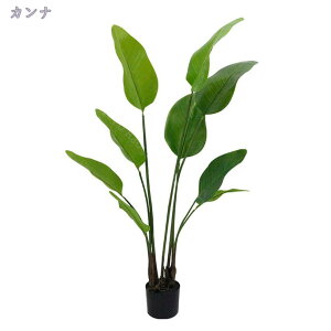 tFCNO[ ^ { AȎ}Ɨt i` Ύ u₩ lHϗtA A A  CeA ItBX  rO lHϗtA lH ͗lւ 