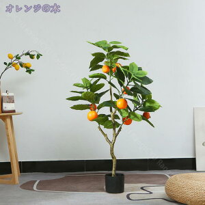 1000~OFFN[| tFCNO[ A CeA ϗtA tFCN Ύ lHϗtA A ^ CeA JXj Vzj yɋԂɗ tFCNO[ 傫 A 