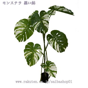 tFCNO[ ^ { AȎ}Ɨt i` A  Ύ u₩ lHϗtA A CeA ItBX  rO lHϗtA lH ͗lւ 