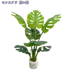 tFCNO[ ^ { AȎ}Ɨt i` A  Ύ u₩ lHϗtA A CeA ItBX  rO lHϗtA lH ͗lւ 