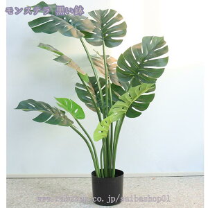 1000~OFFN[| lHϗtA ^ tFCNO[ lA lHϗtA tFCNO[ 傫  rO p[e[V nC ][g JXj tFCNϗtA lH