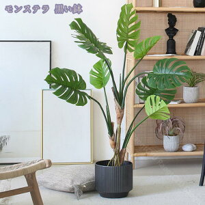 2000~OFFN[| tFCNO[ Xe lHϗtA tFCNO[ lHA ϗt CeAO[  ItBX  rO ɒuA Mъϗt V