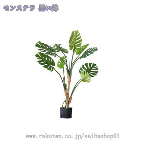 2000~OFFN[| tFCNO[ ^ ϗtA tFCNO[ A  i` Vz JX J a Cxg fBXvC K {^jJ  p z[ 뉀 a