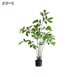 1000~OFFN[| tFCNO[ lHϗtA ϗt  K̖  ItBX  z[ x_ GgX A A tFCNO[ ^ ϗtA A  Ce