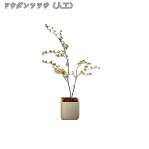 tFCNO[ lHϗtA ^ 傫  tFCNϗtA X GgX c lHϗtA JXj j JƏj ze [ JCC IV 킢 i`