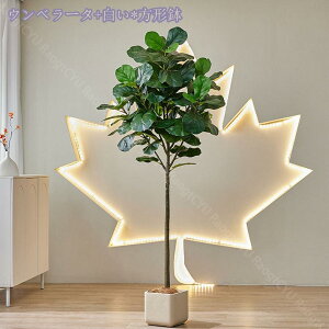 2000~OFFN[| lHϗtA ^ { A tFCNO[ tFCNϗtA fBXvC  j JX J Vz Mtg j  tFCNO[ Ce