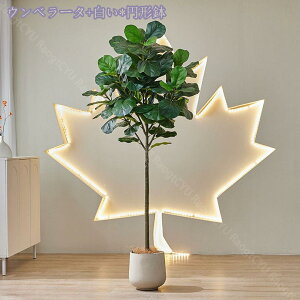 2000~OFFN[| lHϗtA ^ { A tFCNO[ tFCNϗtA fBXvC  j JX J Vz Mtg j  tFCNO[ Ce