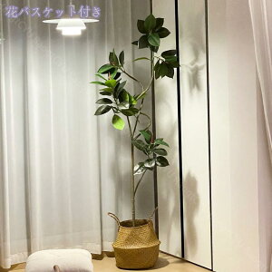 2000~OFFN[| tFCNO[ ^ ϗtA  A tFCNϗtA ItBX  zer[ i V~[V tFCNc[ fR[V i  