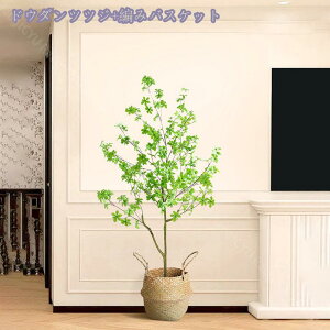 tFCNO[ ^ A  tFCNO[ Rȕ͋C  rO Bep  tFCNO[ MѐA lHϗtA tFCNO[ sv Aؔ l