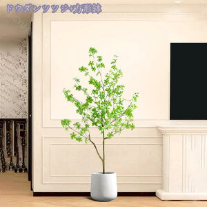 2000~OFFN[| tFCNO[ ^ A  tFCNO[ Rȕ͋C  rO Bep  tFCNO[ MѐA lHϗtA tFCNO[ 