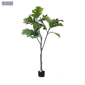 2000~OFFN[| lHϗtA ^  tFCNO[ A ϗtA O CeA X GgX c ItBX Ή E  ze [ j JXj