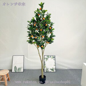 lHϗtA tFCNO[ ϗtA  ^ CeA  tFCNO[ sv lHϗtA ^ rO p[e[V ϗt T{e A lH A 