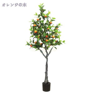 1000~OFFN[| tFCNO[ lHϗtA ^ CeA  rO ItBX   lHϗtA 킢  Q Mъϗt sv ȒPb炸  C