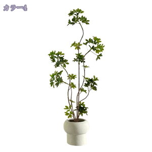 2000~OFFN[| tFCNO[ lHϗtA ϗt  K̖  ItBX  z[ x_ GgX A tFCNO[ ^ ϗtA A  CeAO