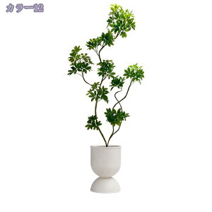 2000~OFFN[| lHϗtA ^ tFCNO[ lA lHϗtA ϗt l tFCNO[ 傫  rO p[e[V nC nCA ][g JX