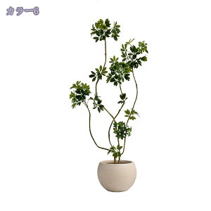 tFCNO[ lHϗtA ϗt  K̖  ItBX  z[ x_ GgX A tFCNO[ ^ ϗtA A  CeAO[ lHϗt