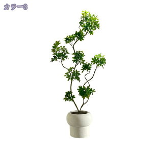 lHϗtA ^ tFCNO[ lA lHϗtA ϗt l tFCNO[ 傫  rO p[e[V nC nCA ][g JXj tFCNϗt