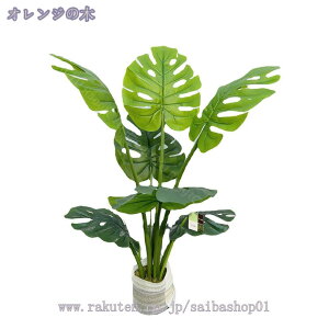 1000~OFFN[| lHϗtA ^  tFCNO[ A ϗtA O CeA X GgX c ItBX Ή E  ze [ j JXj