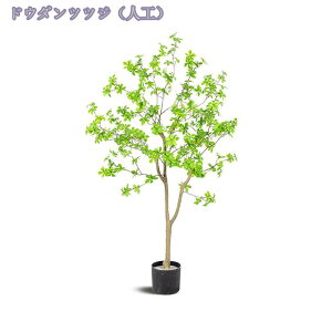 2000~OFFN[| ^ lHϗtA tFCNO[ Ύ lH Ԏd؂ ډB CeA gsJ  A ^ A lHϗtA j j JƏj b炸 