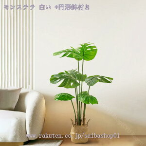 2000~OFFN[| lHXe tFCNO[ ^ i` Ύ u₩ tFCNO[ lHϗtA A A  CeA ItBX  rO lHϗtA