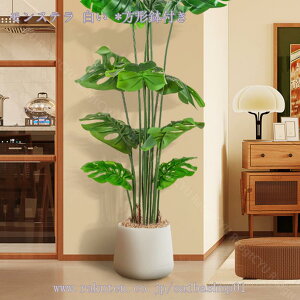 lHXe tFCNO[ ^ i` Ύ u₩ tFCNO[ lHϗtA A A  CeA ItBX  rO lHϗtA lH ͗l