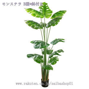 1000~OFFN[| lHXe tFCNO[ ^ i` Ύ u₩ tFCNO[ lHϗtA A A  CeA ItBX  rO lHϗtA