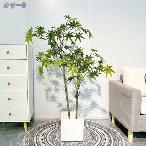 1000~OFFN[| lHϗtA ^ A  lHO[ CeA  t tFCNO[ CeA fR[V  ƒ ItBX lHϗtA ₷ 