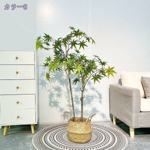 2000~OFFN[| lHϗtA lH ^ d؂ tFCNgsJ  O ItBX rO  K[f _ Vzj JXj JƏj A tFCNO[ lHϗt