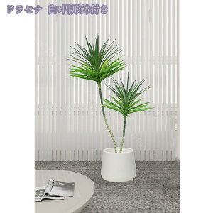 tFCNO[ ^ lHϗtA ϗt tFCNc[  ^ ȒP sv Q쏜sv  ƒ 悯oRj[  Iȑ z̃Mtg ItBX  