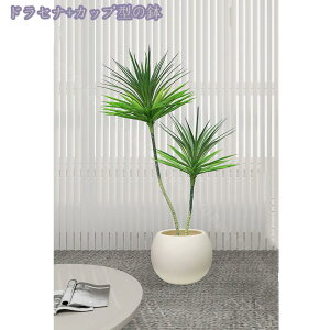 2000~OFFN[| tFCNO[ ^ lHϗtA ϗt tFCNc[  ^ ȒP sv Q쏜sv  ƒ 悯oRj[  Iȑ z̃Mtg I