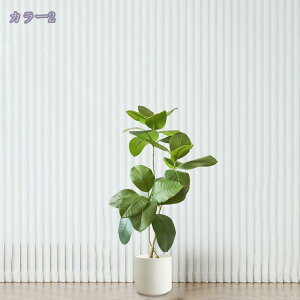 2000~OFFN[| tFCNO[ lHϗtA ϗt  K̖  ItBX  z[ x_ GgX A tFCNO[ ^ ϗtA A  CeAO