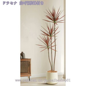 2000~OFFN[| lHϗt ^ tFCNO[ ϗtA tFCN ^  CeAO[ A  j  X  rO ItBX  Vv ϗt 傫