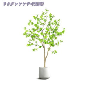 1600~OFFN[| tFCNO[ ^ ϗtA A ItBX   t  CeA 傫  VR ͂Ȃ _ ډB rO  ͗lւ 蕨  