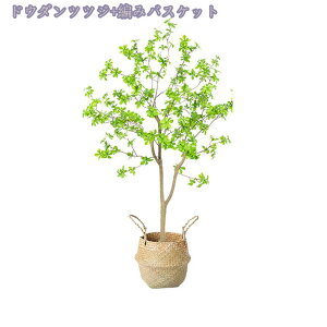 1000~OFFN[| tFCNO[ ^ ϗtA A ItBX   t  CeA 傫  VR ͂Ȃ _ ډB rO  ͗lւ 蕨  