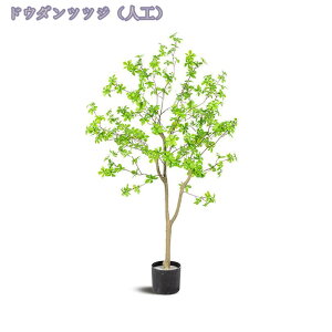 1600~OFFN[| tFCNO[ ^ ϗtA A ItBX   t  CeA 傫  VR ͂Ȃ _ ډB rO  ͗lւ 蕨  