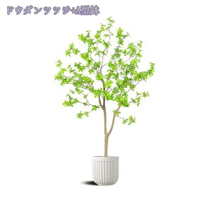 tFCNO[ ^ ϗtA A ItBX   t  CeA 傫  VR ͂Ȃ _ ډB rO  ͗lւ 蕨  j v[g 