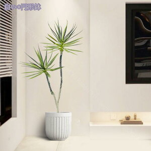 1000~OFFN[| lHϗtA tFCNO[ CeA ^  킢 Lb` rO _CjO Q O sv tFCNA sv ͂Ȃ tFCNO