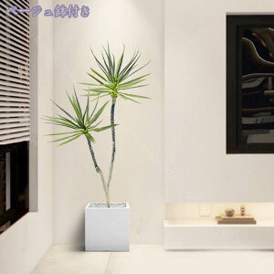 1000~OFFN[| tFCNO[ V̖ lHϗtA ϗt tFCN   ^ ȒP sv Q쏜sv  ƒ 悯 oRj[  Iȑ z̃Mtg