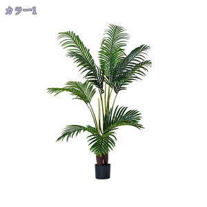 2000~OFFN[| lHϗtA tFCNO[ ^  CeA O tFCNA sv ͂Ȃ ~͐A Vzj ̓ ̓MtgՂ 蕨 Vv ItBX 