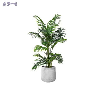 2000~OFFN[| lHϗtA tFCNO[ ^  CeA O tFCNA sv ͂Ȃ ~͐A Vzj ̓ ̓MtgՂ 蕨 Vv ItBX 