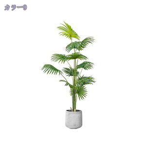 2000~OFFN[| lHϗtA tFCNO[ ^  CeA O tFCNA sv ͂Ȃ ~͐A Vzj ̓ ̓MtgՂ 蕨 Vv ItBX 