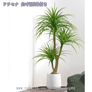 2000~OFFN[| lHϗtA tFCNO[ CeA ^  킢 Lb` rO _CjO Q O sv tFCNA sv ͂Ȃ tFCNO