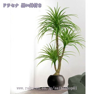 1000~OFFN[| lHϗtA tFCNO[ CeA ^  킢 Lb` rO _CjO Q O sv tFCNA sv ͂Ȃ tFCNO