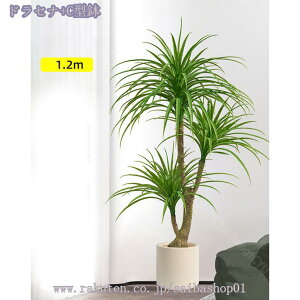 1000~OFFN[| lHϗtA tFCNO[ CeA ^  킢 Lb` rO _CjO Q O sv tFCNA sv ͂Ȃ tFCNO