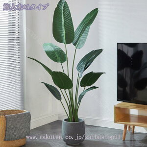 1000~OFFN[| lH A ^ CeA lHϗtA ^ A lHA { JX JƏj  rO 傫  tFCNO[ sv tFC