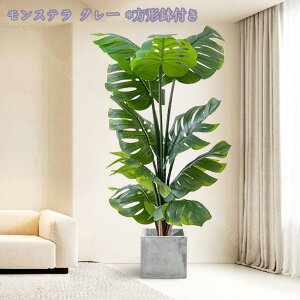 lHϗtA tFCNO[ CeA ^  킢 Lb` rO _CjO Q O sv tFCNA sv ͂Ȃ tFCNO[ ϗtA 