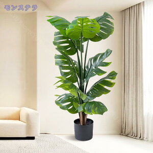 2000~OFFN[| lHϗtA tFCNO[ CeA ^  킢 Lb` rO _CjO Q O sv tFCNA sv ͂Ȃ tFCNO