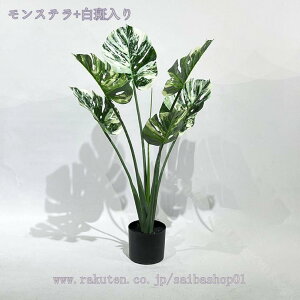 tFCNO[ ^ { AȎ}Ɨt i` Ύ u₩ lHϗtA A A  CeA ItBX  rO lHϗtA lH ͗lւ 